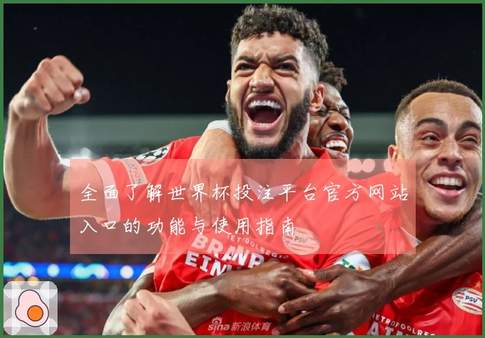 全面了解世界杯投注平台官方网站入口的功能与使用指南