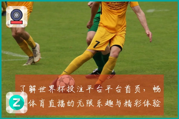 了解世界杯投注平台平台首页，畅享体育直播的无限乐趣与精彩体验