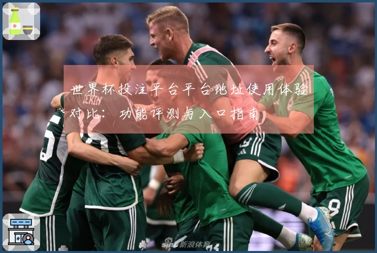 世界杯投注平台平台地址使用体验对比：功能评测与入口指南