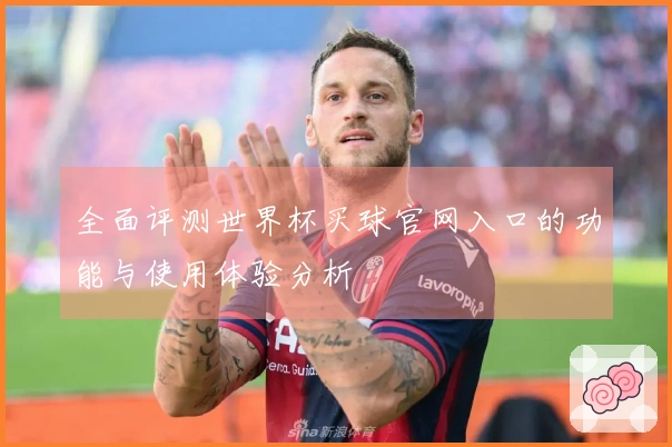 全面评测世界杯买球官网入口的功能与使用体验分析