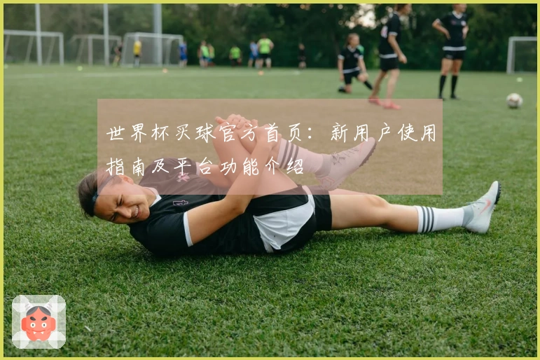 世界杯买球官方首页：新用户使用指南及平台功能介绍