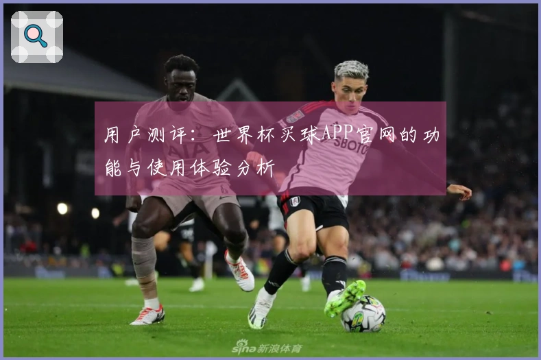 用户测评：世界杯买球APP官网的功能与使用体验分析