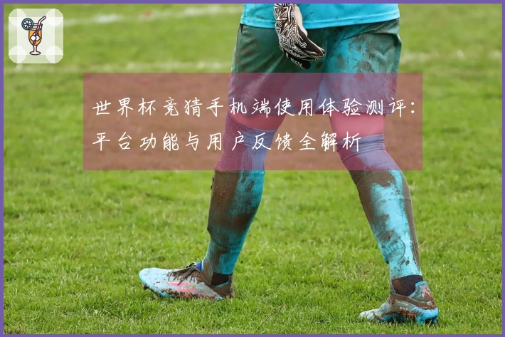 世界杯竞猜手机端使用体验测评：平台功能与用户反馈全解析