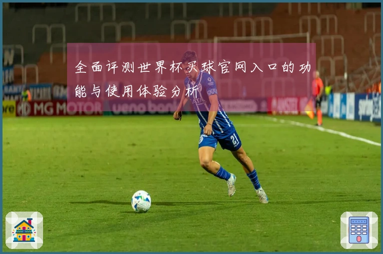 全面评测世界杯买球官网入口的功能与使用体验分析