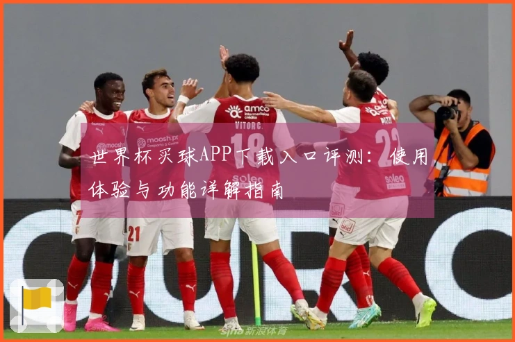 世界杯买球APP下载入口评测：使用体验与功能详解指南