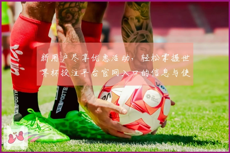 新用户尽享优惠活动，轻松掌握世界杯投注平台官网入口的信息与使用体验